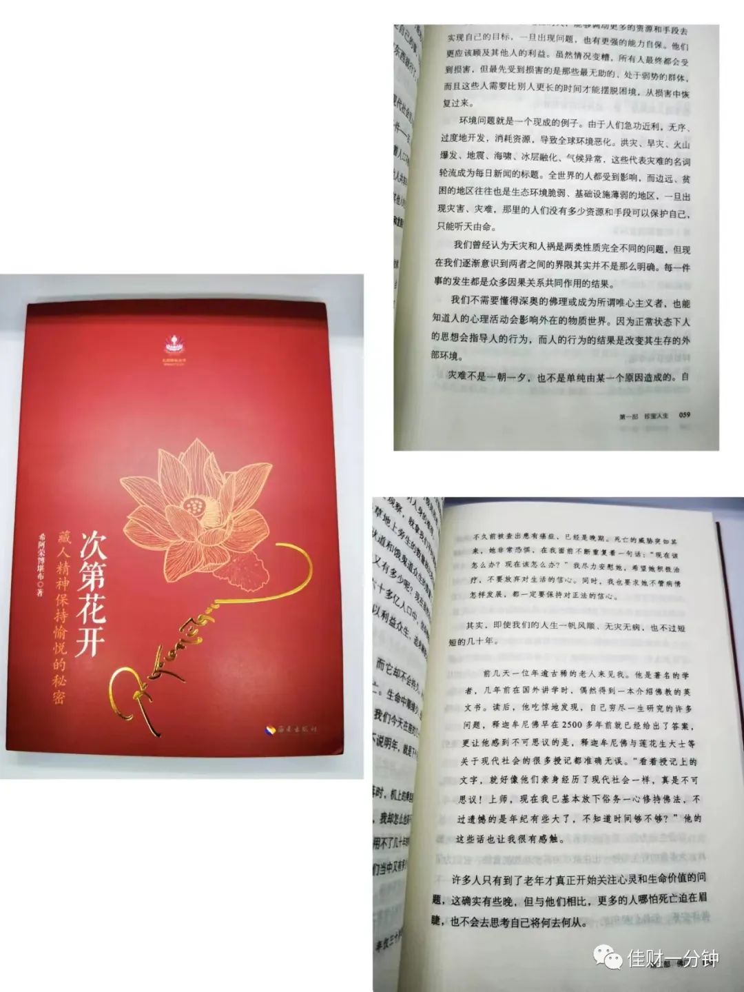 翻书 翻书