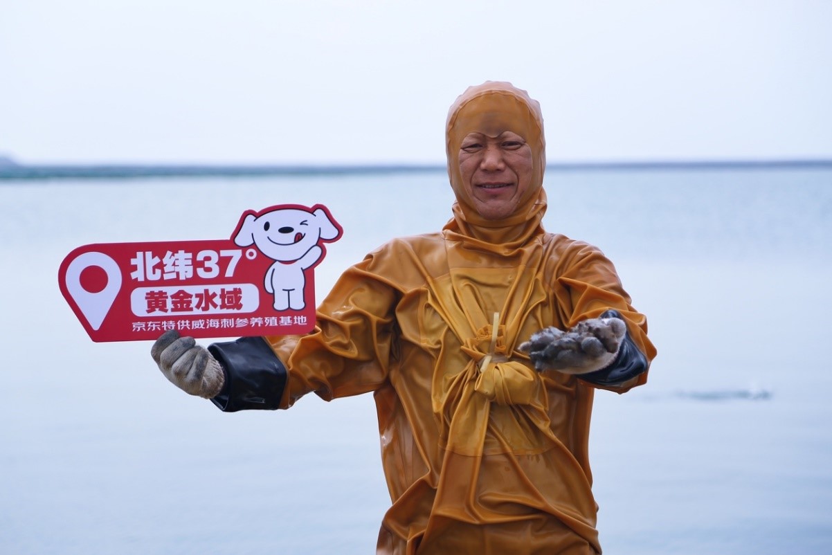 占全国三成的威海海参秋季开捕:产量预计达4.5万吨价格涨一成 京东承诺全网最低价 占全国三成的威海海参秋季开捕:产量预计达4.5万吨价格涨一成 京东承诺全网最低价