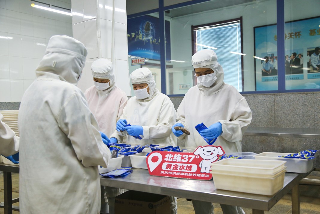 占全国三成的威海海参秋季开捕:产量预计达4.5万吨价格涨一成 京东承诺全网最低价 占全国三成的威海海参秋季开捕:产量预计达4.5万吨价格涨一成 京东承诺全网最低价