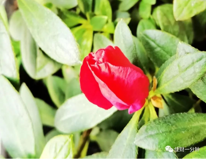 注意节奏 注意节奏