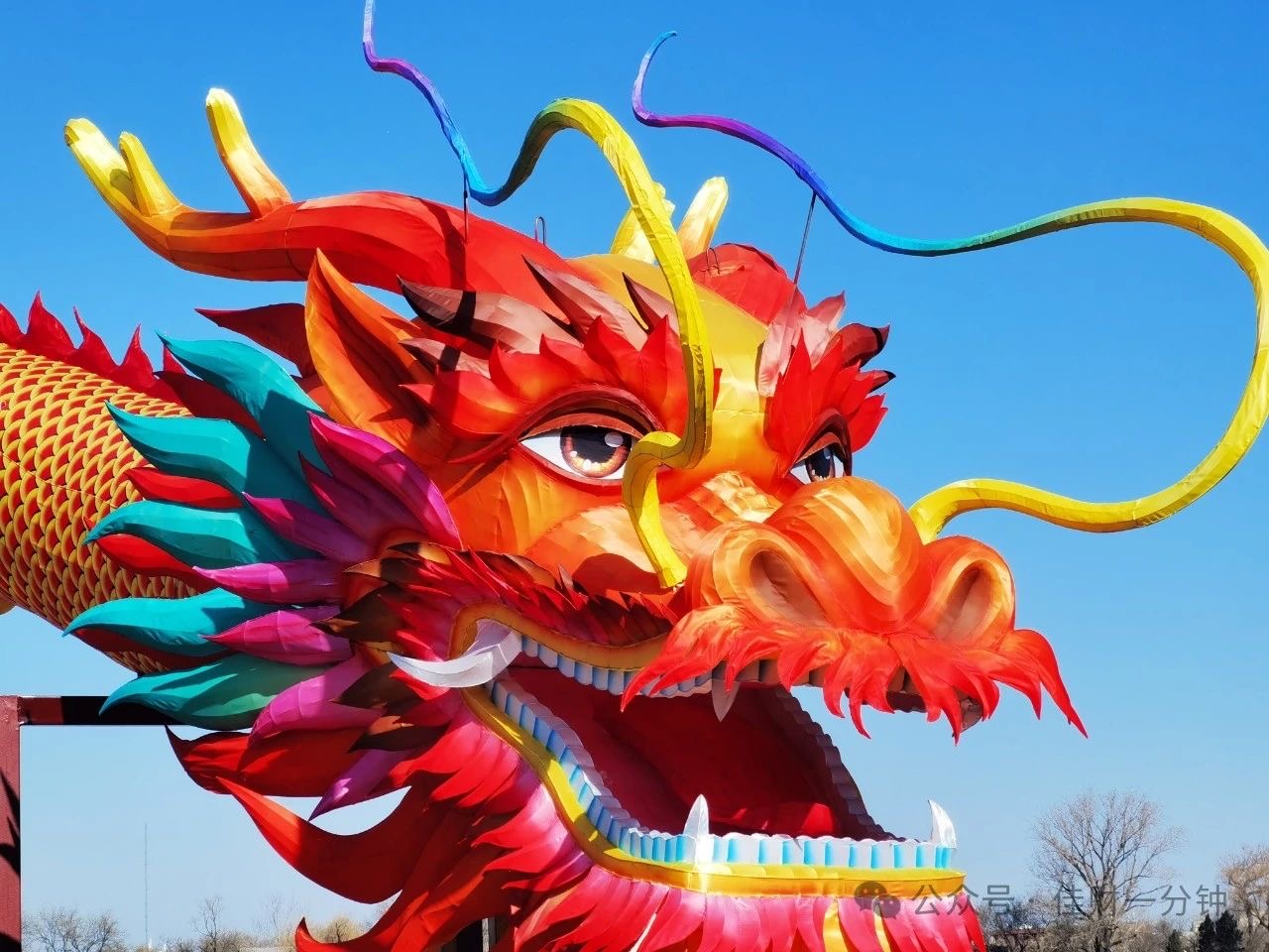 迎春接福 迎春接福