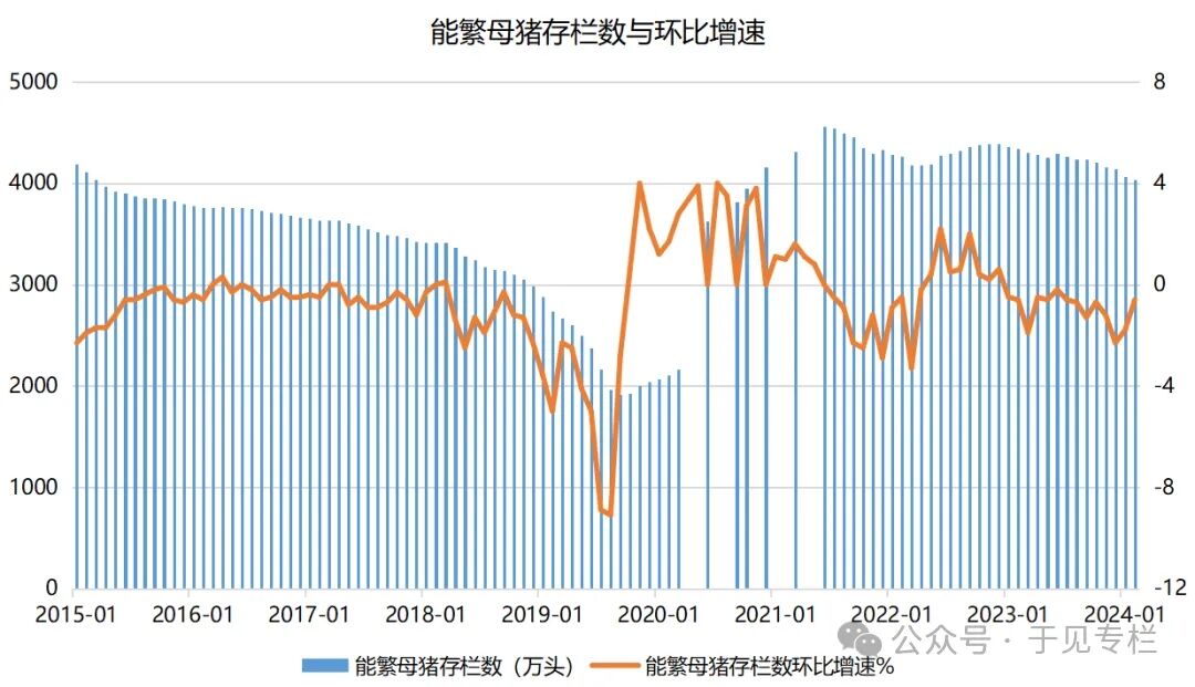 猪周期一直触底，民生行业如何自救