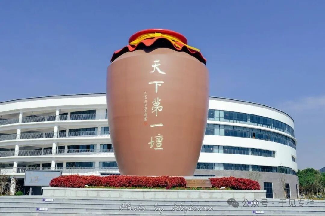 苏酒巨头失速，洋河股份的进与退