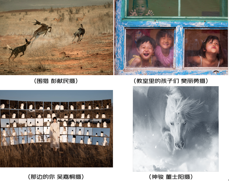 第七届京东摄影金像奖圆满落幕京东携手相机品牌掀起全民摄影创作热潮