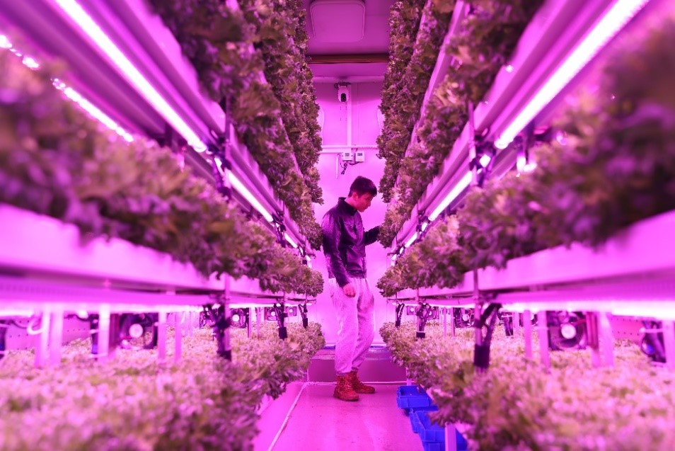 拼多多2024全年财报出炉，高质量发展效用加速释放，新质供给助推产业转型升级