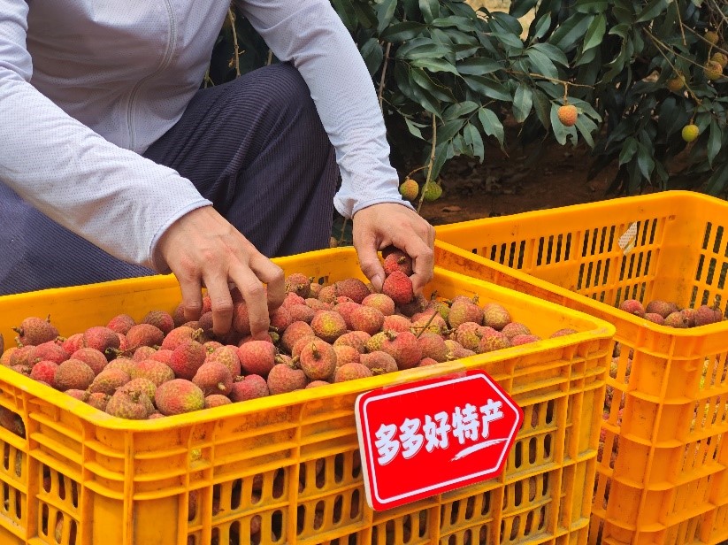 拼多多股价波动：牺牲短期业绩，坚定长期投入“千亿扶持”
