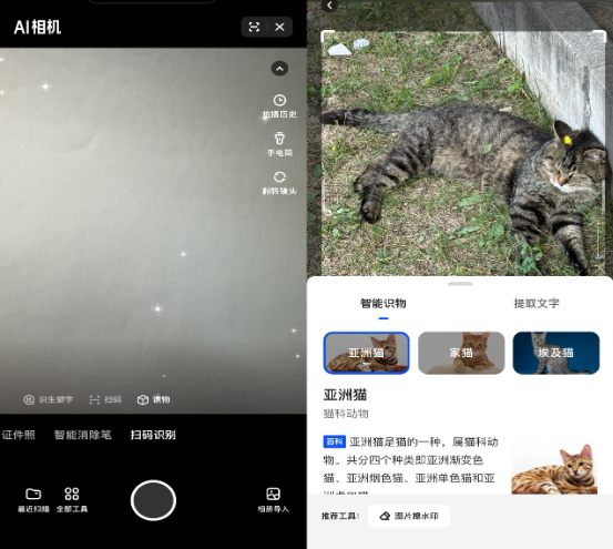 我看App 丨2亿人选择的AI伙伴：夸克2025体验白皮书