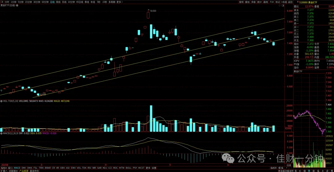 数字哨兵板块 数字哨兵板块