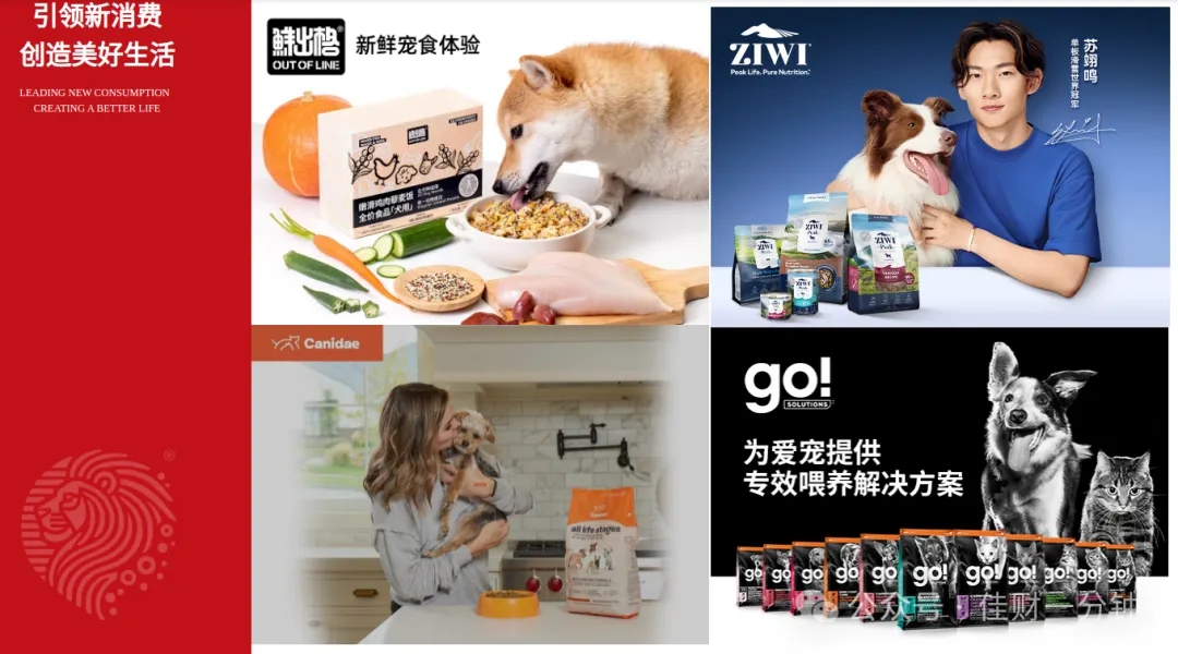 看三只强势涨停股的逻辑