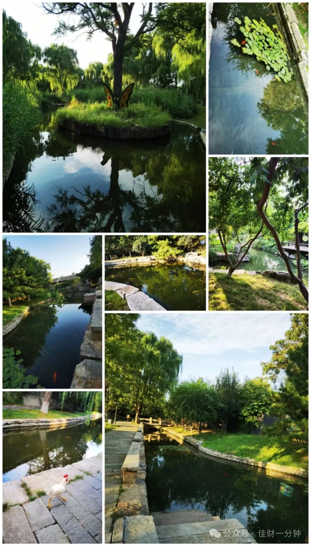 高佳思考 | 难得一见的景色
