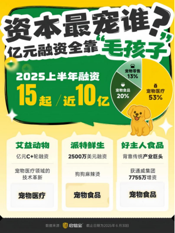 「焦点」启信宝揭秘宠物经济版图:山东“喂饱”全国,海南“闷声发大财”,浙粤各显神通 「焦点」启信宝揭秘宠物经济版图:山东“喂饱”全国,海南“闷声发大财”,浙粤各显神通