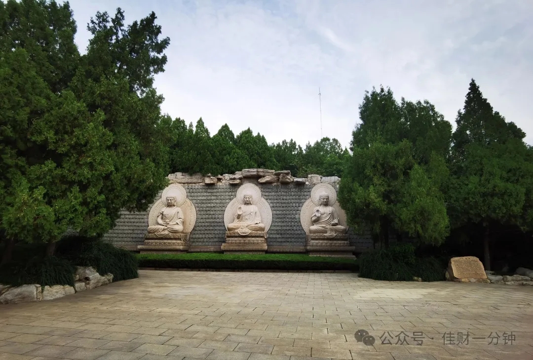 高佳思考 | 种草——济南