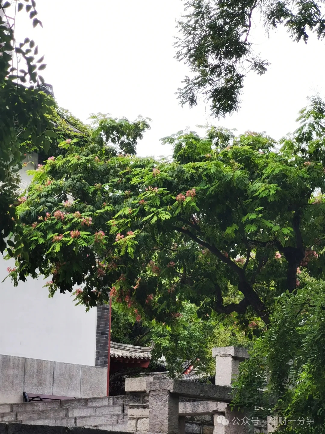 高佳思考 | 种草——济南