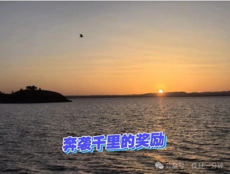 高佳思考 | 沙漠里真的有海 高佳思考 | 沙漠里真的有海