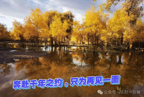 高佳思考 | 9月28日的胡杨林已渐入佳境 高佳思考 | 9月28日的胡杨林已渐入佳境