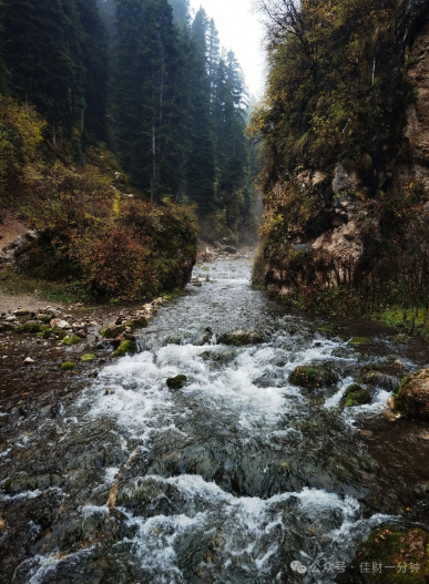 高佳思考 | 两个小众景区——纳摩大峡谷和拉尕山