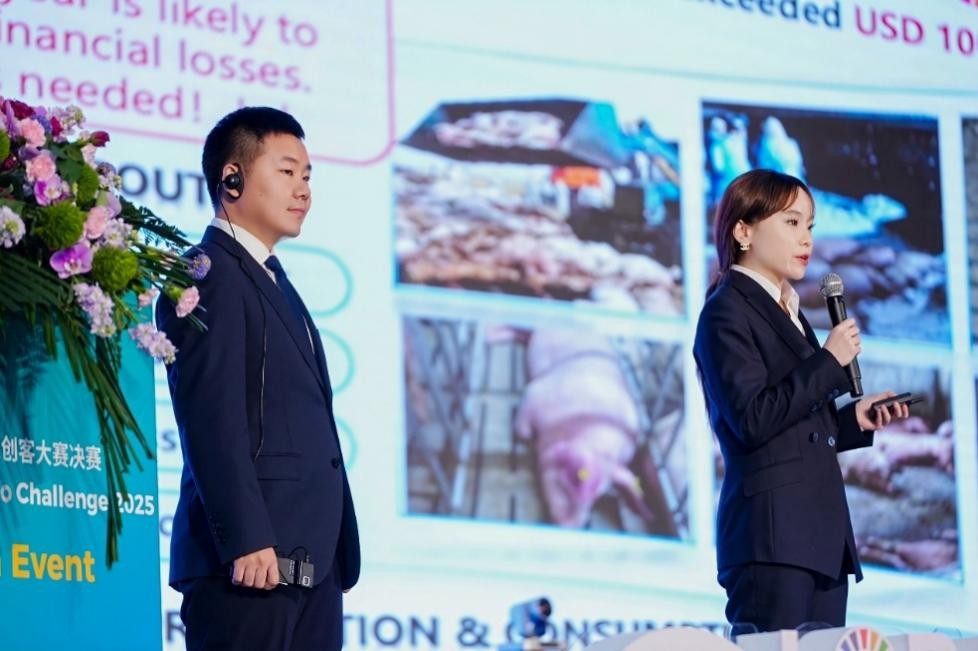 拼多多发布Q3财报，陈磊：以社会责任为先，开启平台发展的新十年