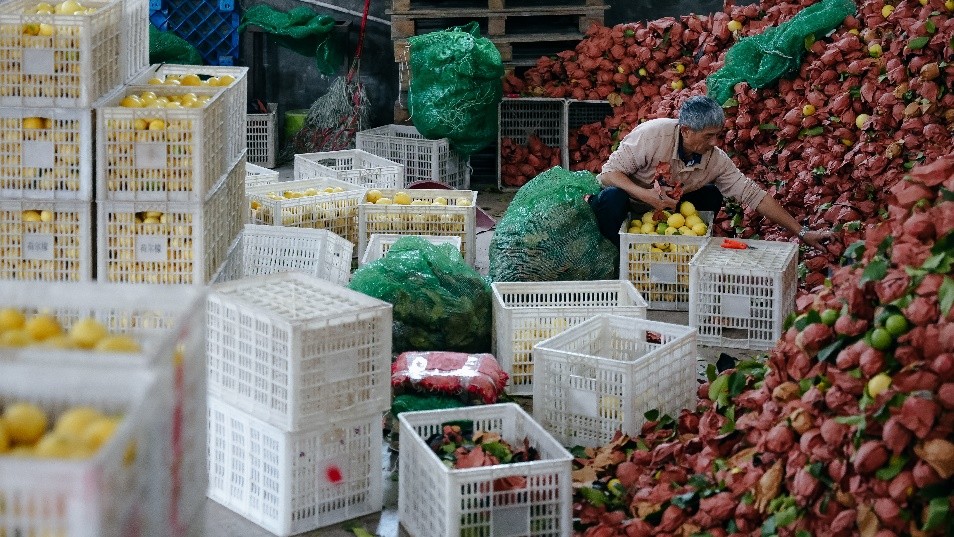 拼多多发布Q3财报，陈磊：以社会责任为先，开启平台发展的新十年