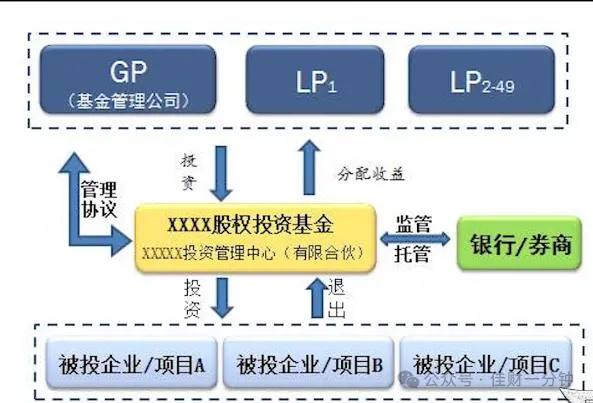 高佳思考 | 头茬草莓