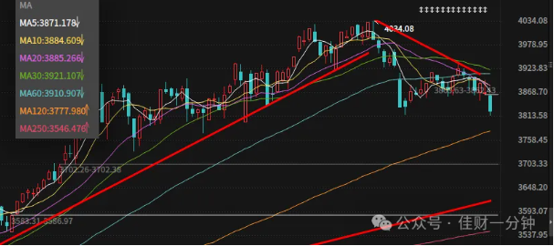 高佳思考 | 为什么要断麸质 高佳思考 | 为什么要断麸质