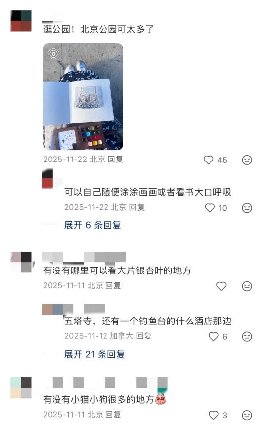 我看App | 小红书深度使用体验:帮你避坑不踩雷,目前没有卸载 我看App | 小红书深度使用体验:帮你避坑不踩雷,目前没有卸载