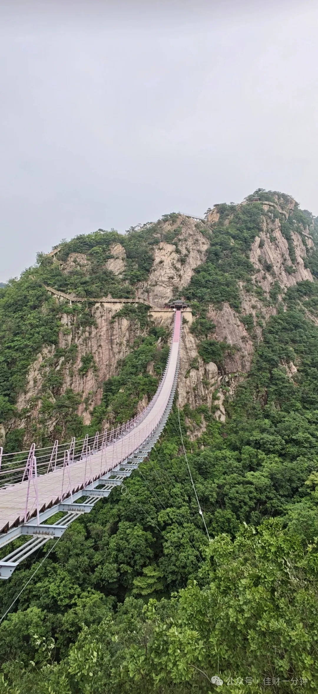 佳姐思考 | 凤凰城外凤凰山