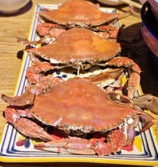 佳姐思考 | 早起的人,吃的好 佳姐思考 | 早起的人,吃的好
