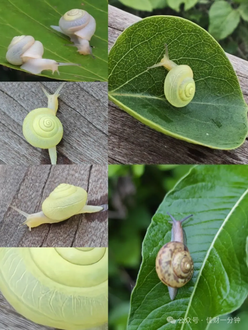 佳姐思考 | 推荐一个生态很好的北方小岛 佳姐思考 | 推荐一个生态很好的北方小岛