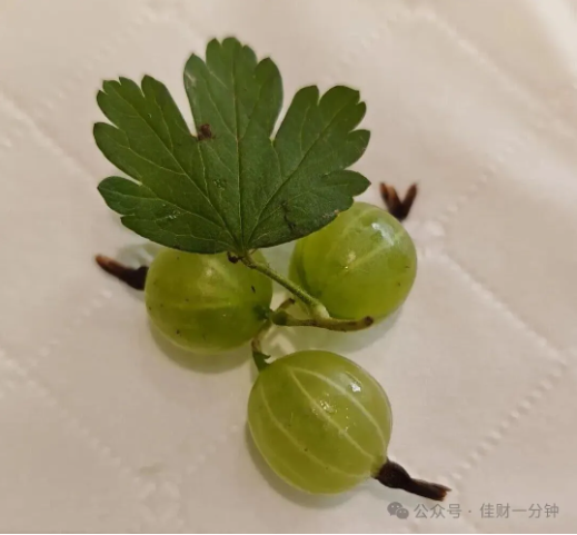 佳姐思考 | 带着新鲜的目光回家 佳姐思考 | 带着新鲜的目光回家