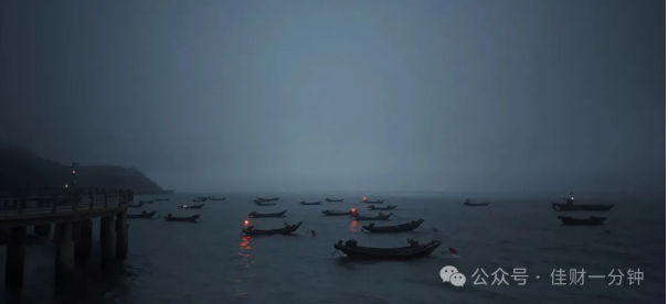 佳姐思考 | 温柔的港湾