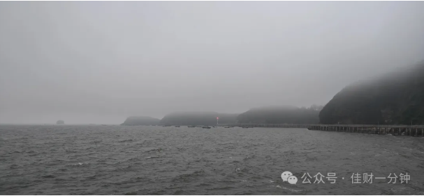 佳姐思考 | 温柔的港湾