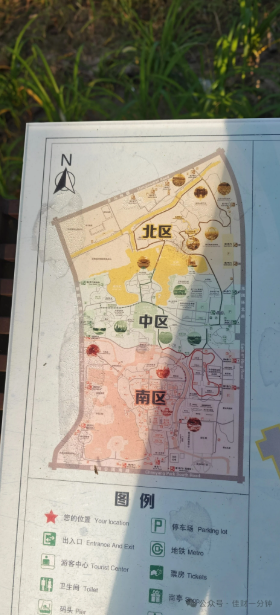 佳姐思考 | 北京朝阳公园打卡大王莲的详细指南 佳姐思考 | 北京朝阳公园打卡大王莲的详细指南