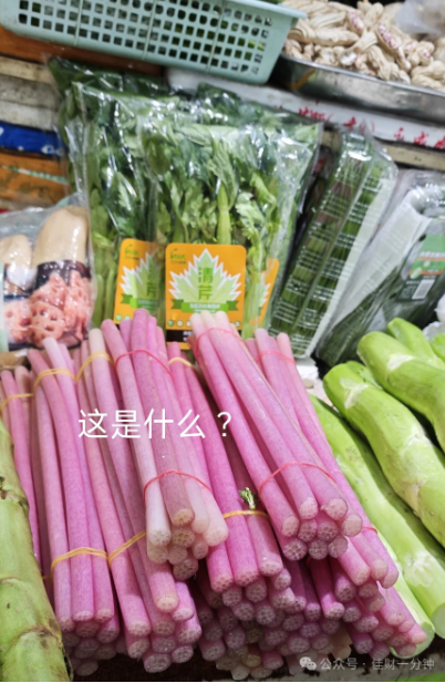 佳姐思考 | 秋日的午后时光 佳姐思考 | 秋日的午后时光