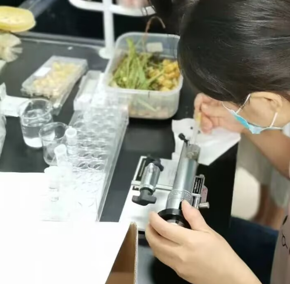 真实记录 | 当一个中产娃选了天坑专业 真实记录 | 当一个中产娃选了天坑专业