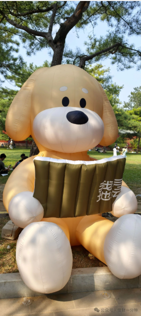 佳姐思考 | 2026年9月19日地坛书市现状
