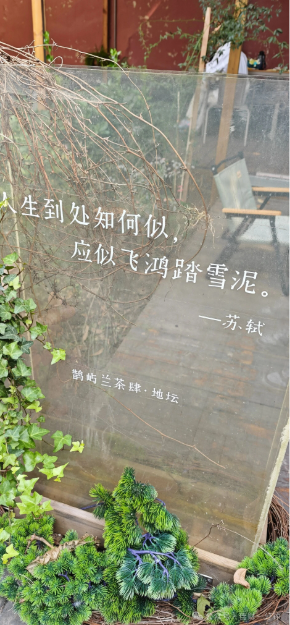 佳姐思考 | 待到玉兰花开时——她来它在就在花下共饮 佳姐思考 | 待到玉兰花开时——她来它在就在花下共饮