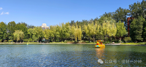 佳姐思考 | 北京的秋，竟有一瞬恍若云南