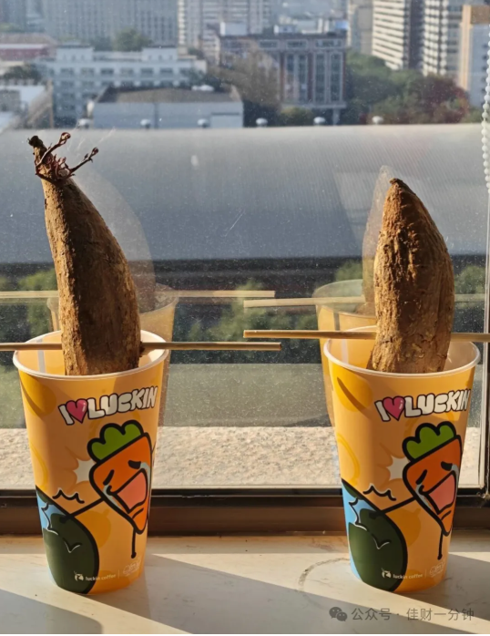 佳姐思考 | 雁荡山三天两晚看秋景应该很不错 佳姐思考 | 雁荡山三天两晚看秋景应该很不错