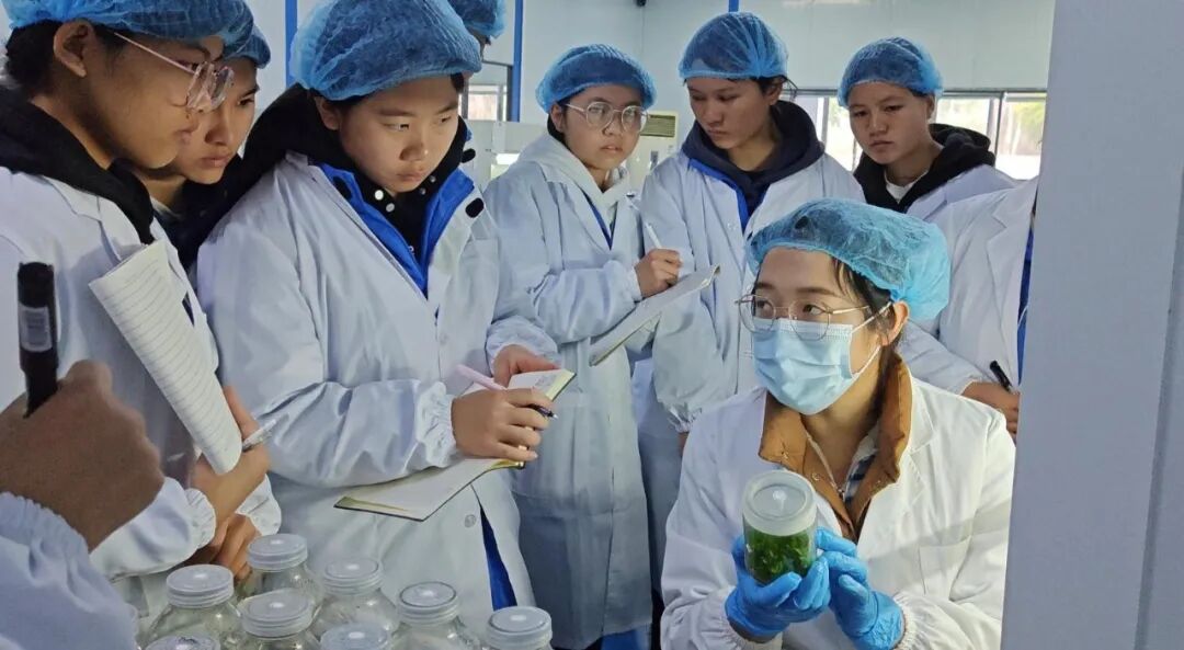 沪滇同心 山海同行——上海静安携手文山广南共谱振兴新篇章