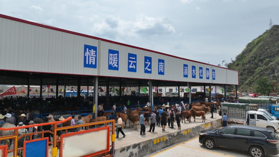 沪滇同心 山海同行——上海静安携手文山广南共谱振兴新篇章