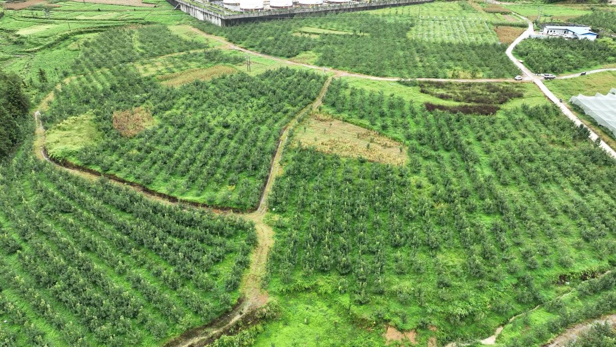 沪滇同心 山海同行——上海静安携手文山广南共谱振兴新篇章
