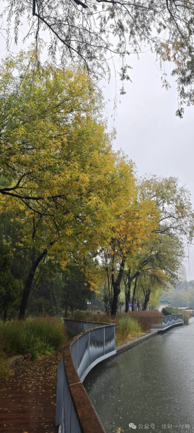 佳姐思考 | 听一场秋雨 佳姐思考 | 听一场秋雨