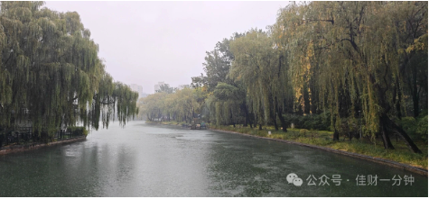 佳姐思考 | 听一场秋雨 佳姐思考 | 听一场秋雨