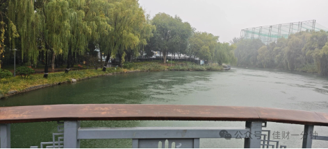 佳姐思考 | 听一场秋雨 佳姐思考 | 听一场秋雨