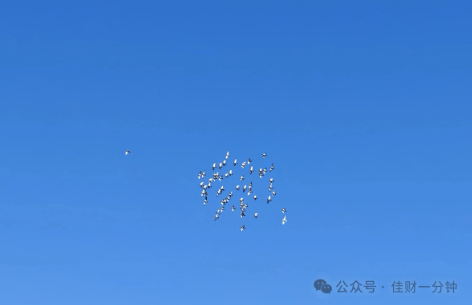 佳姐思考 | 秋天喝点什么？凤凰单纵最适合有风的日子