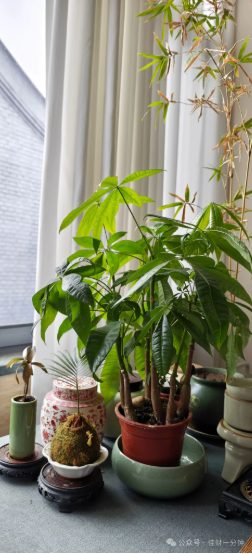 佳姐思考 | 老板说请佳姐的百位朋友吃草莓