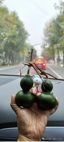 佳姐思考 | 老板说请佳姐的百位朋友吃草莓